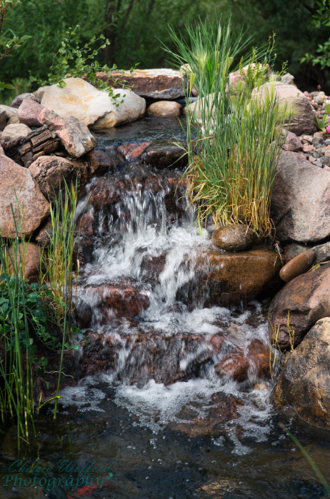Water Feature Repair Services
